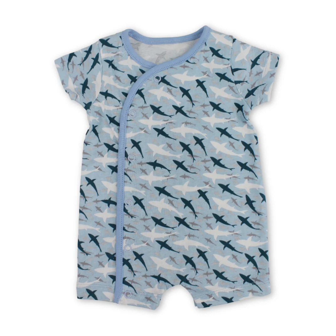 Baby Boys Cotton Romper – Baby Blue with Plane Embroidery