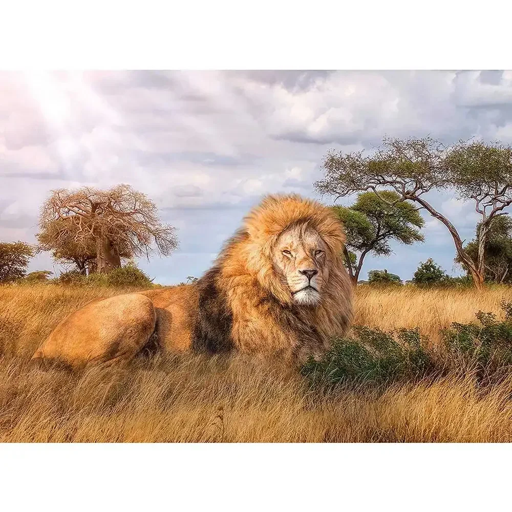Clementoni The King of the Jungle High Quality Collection Puzzle - 1000 Pcs - Image 2