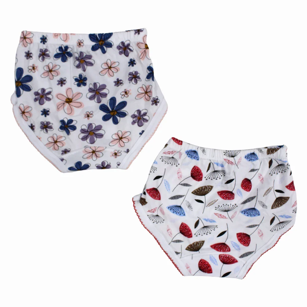Pack Of 2 - Girls Cotton Colorful Panties - Image 2