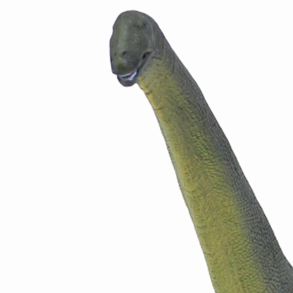 CollectA Dreadnoughtus Dinosaur Figurine - Image 3