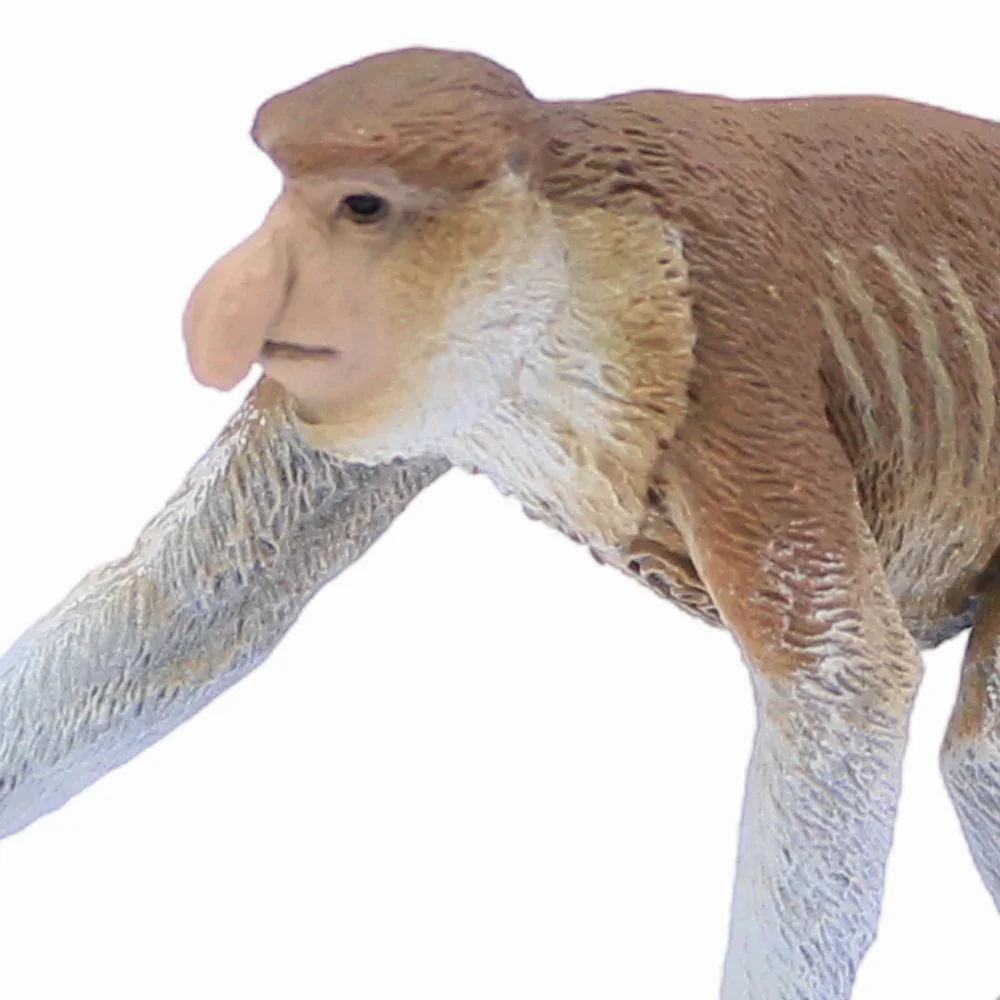 CollectA Proboscis Monkey Figurine - Image 3