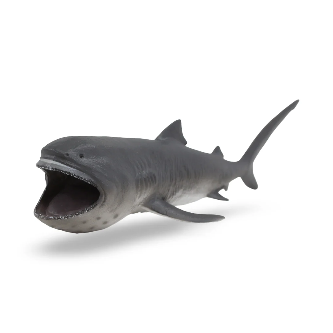 CollectA Megamouth Shark Figurine