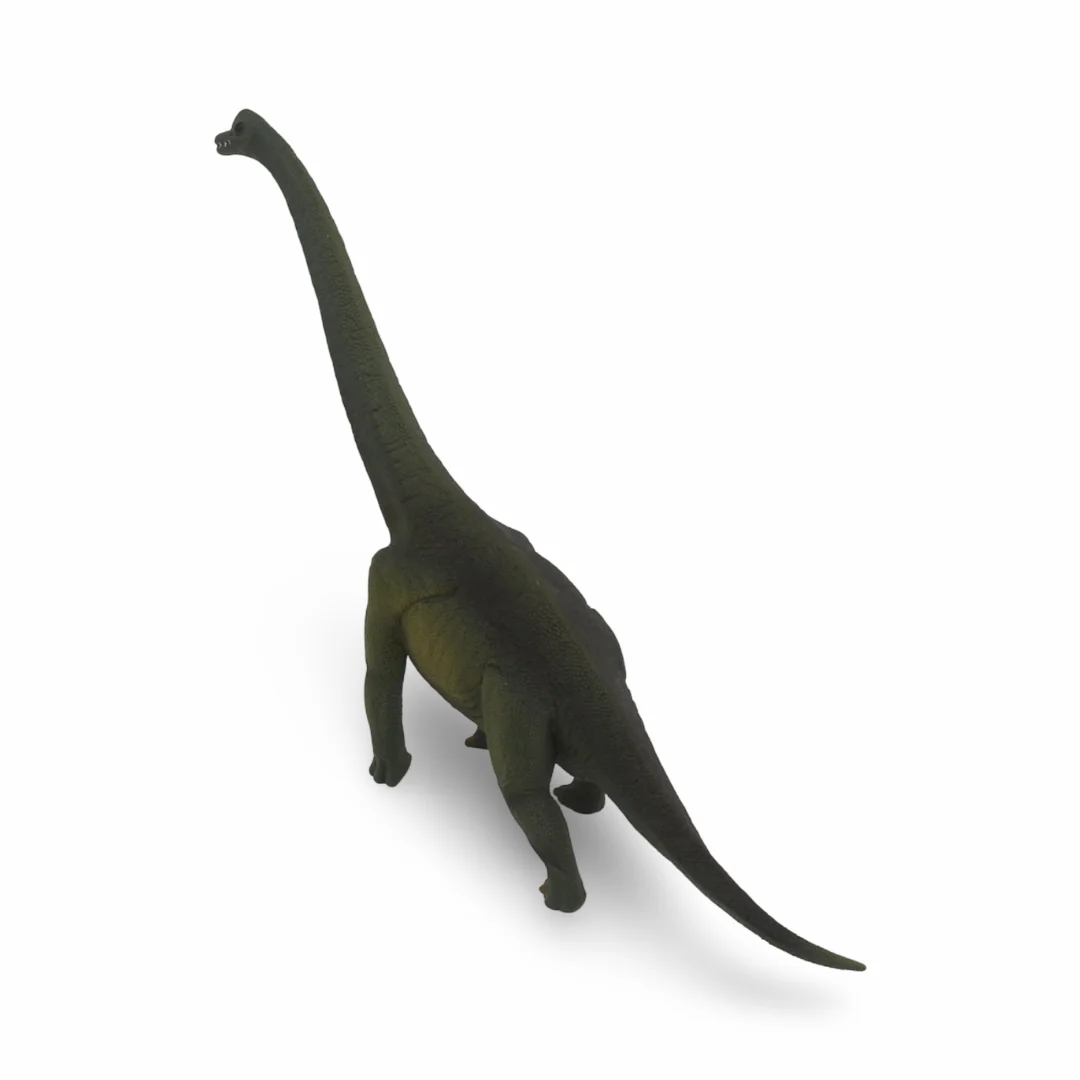 CollectA Brachiosaurus Figurine - Image 2