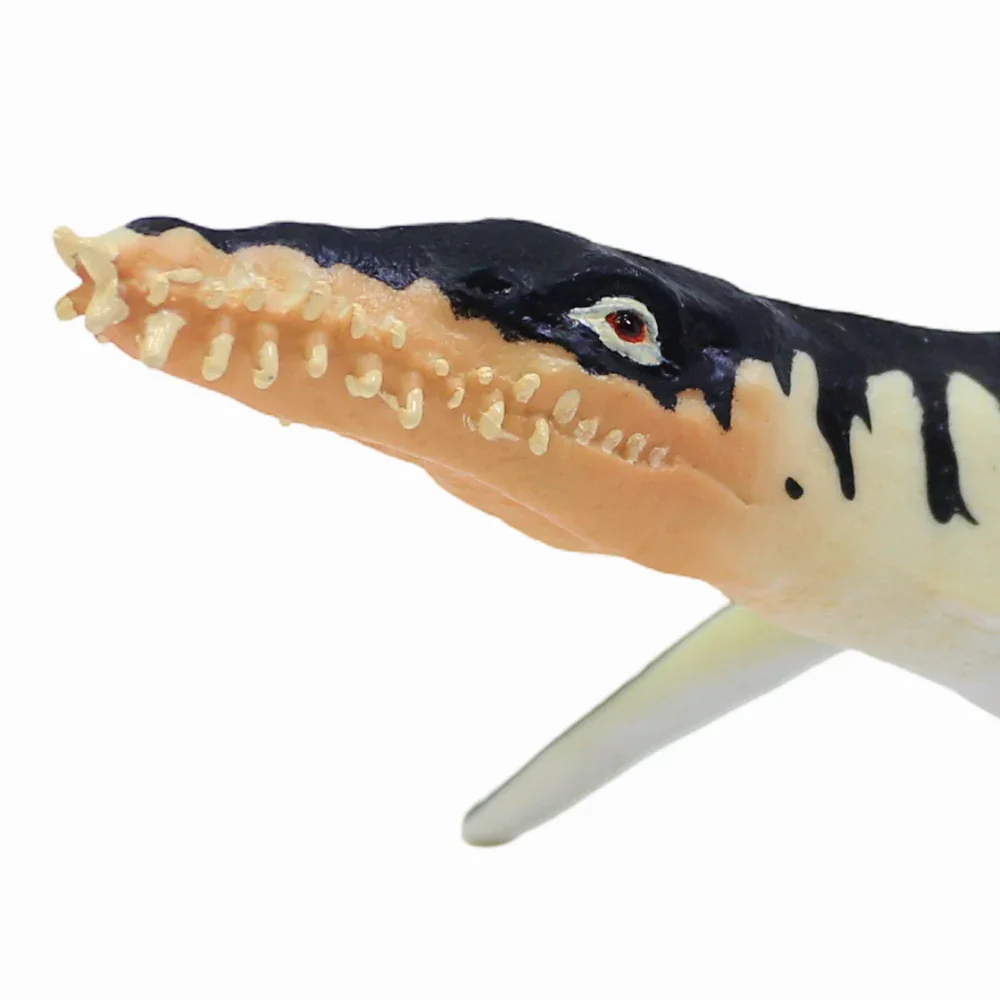 CollectA Liopleurodon Figurine - Image 3