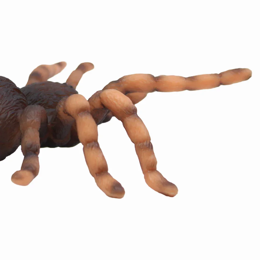 CollectA Mexican Redknee Tarantula Figurine - Image 3