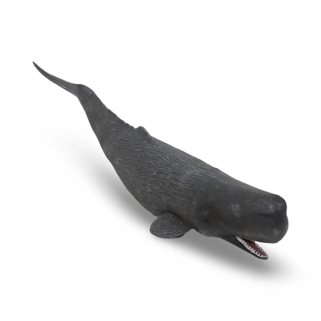 CollectA Sperm Whale Figurine