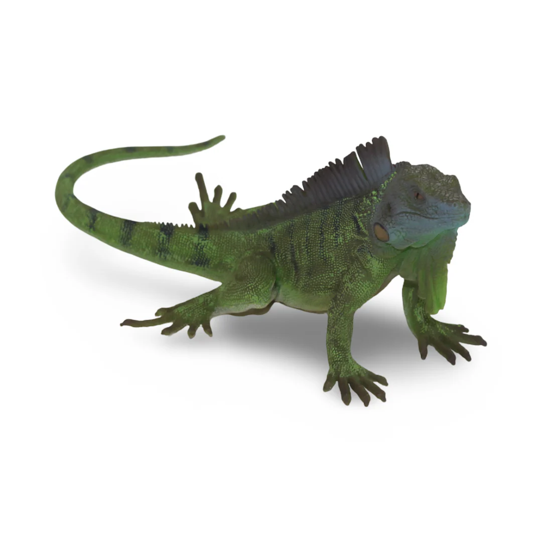 CollectA Green Iguana Figurine