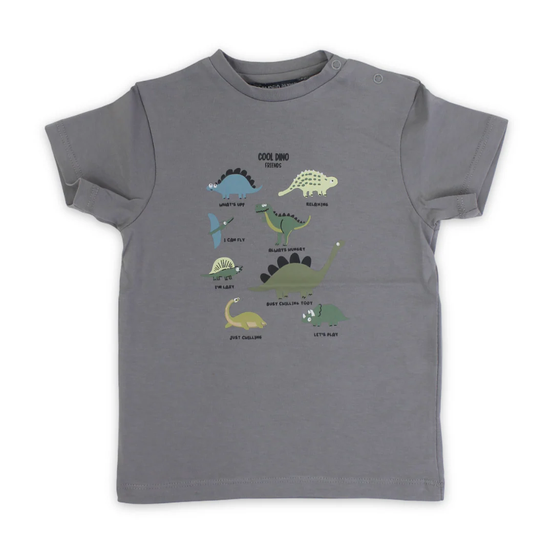 Baby Boys Cotton T-Shirt – Grey with Dinosaurs Print