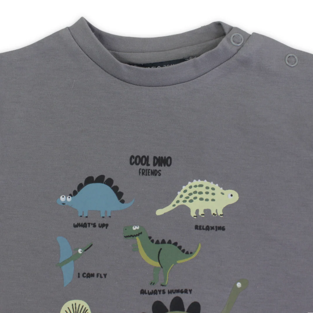 Baby Boys Cotton T-Shirt – Grey with Dinosaurs Print - Image 3