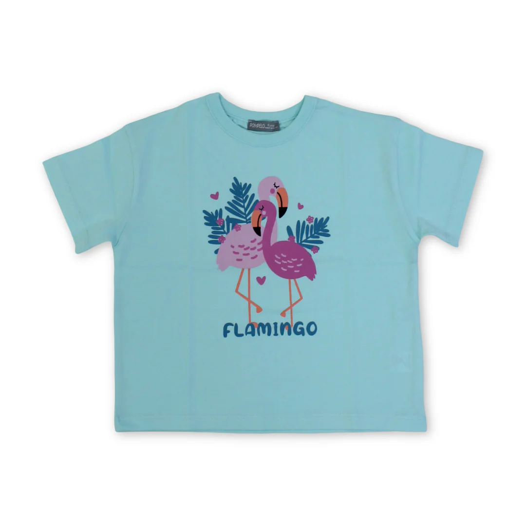 Girls Cotton T-Shirt – Aqua with Flamingo Print