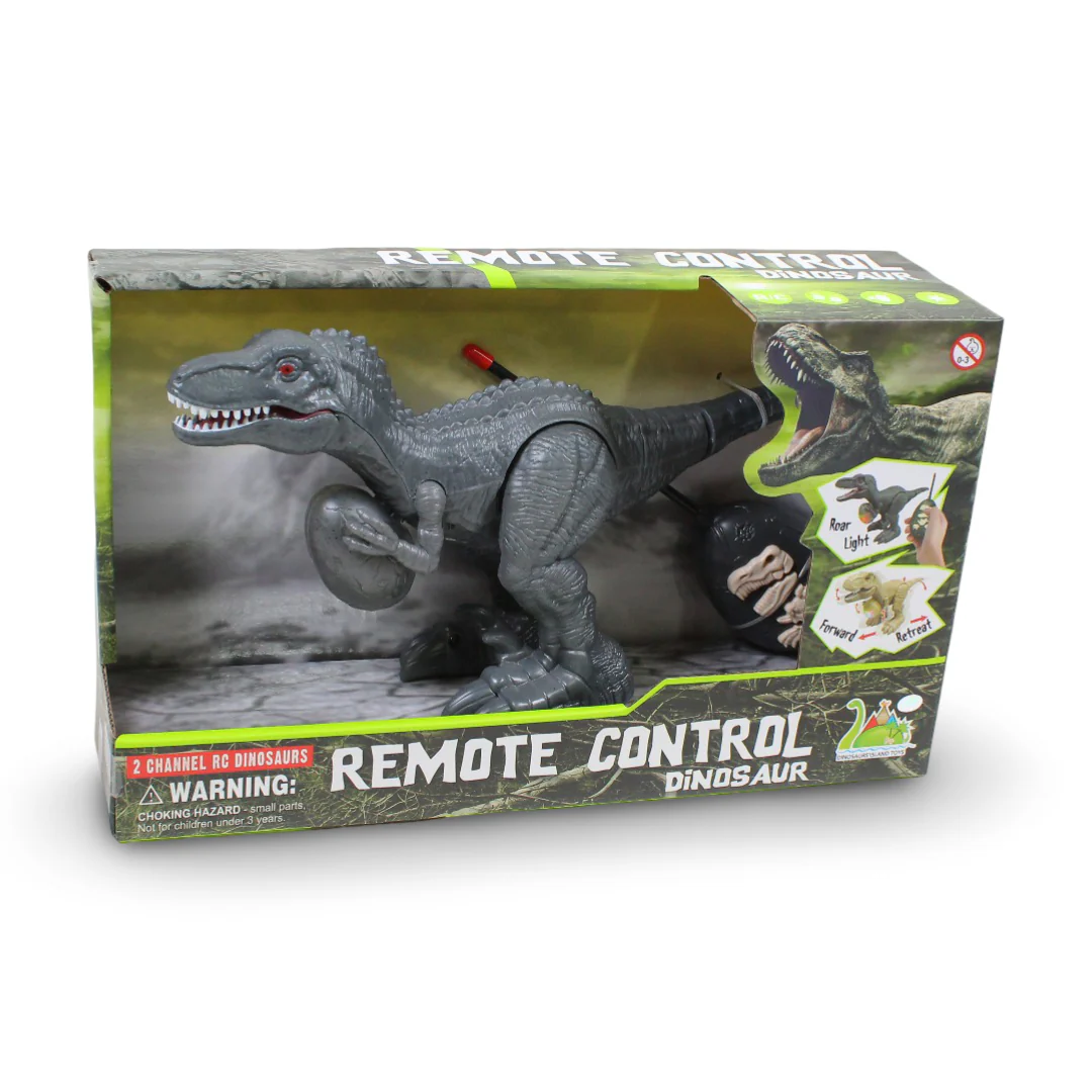 Remote Control Dinosaur Toy